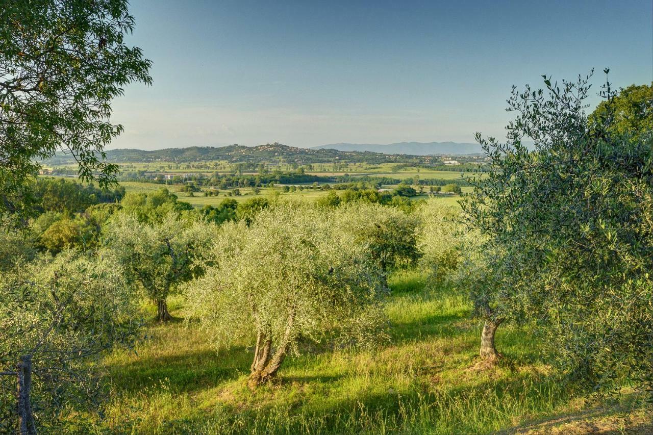 Tuscan Roots Villa La Croce Kültér fotó