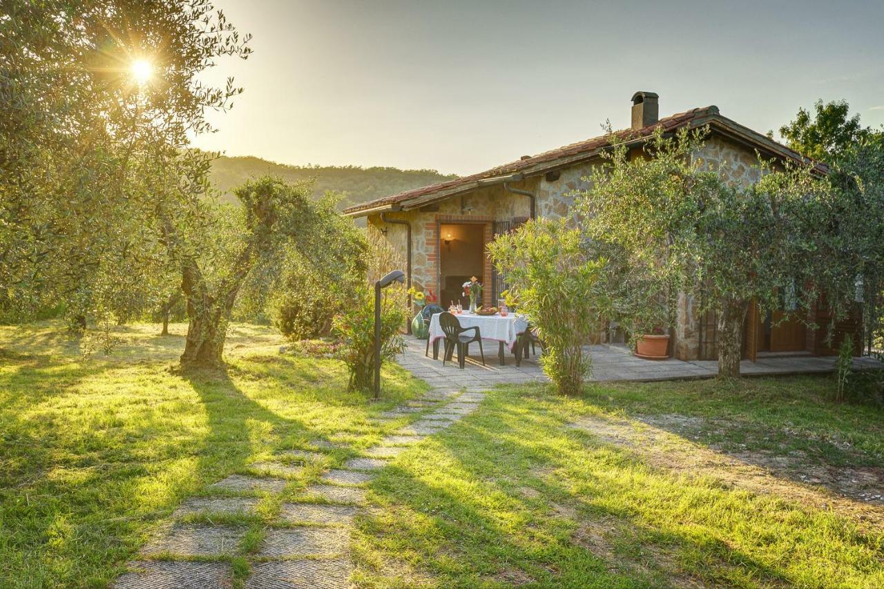 Tuscan Roots Villa La Croce Kültér fotó